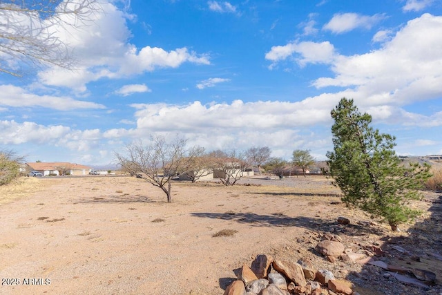 view of yard featuring a rural view