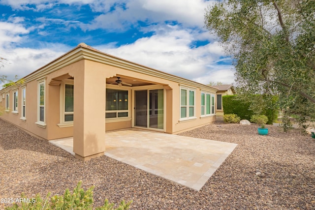 back of property featuring a ceiling fan, a patio, and stucco siding