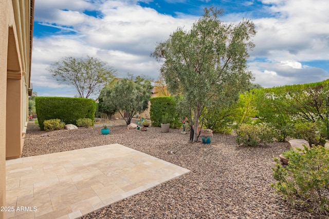 view of yard with a patio