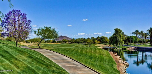 view of property's community with a yard and a water and mountain view