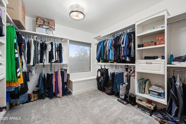 walk in closet with carpet