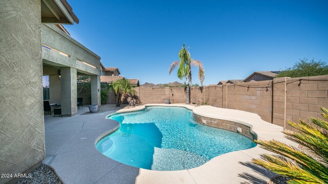 view of pool featuring a patio