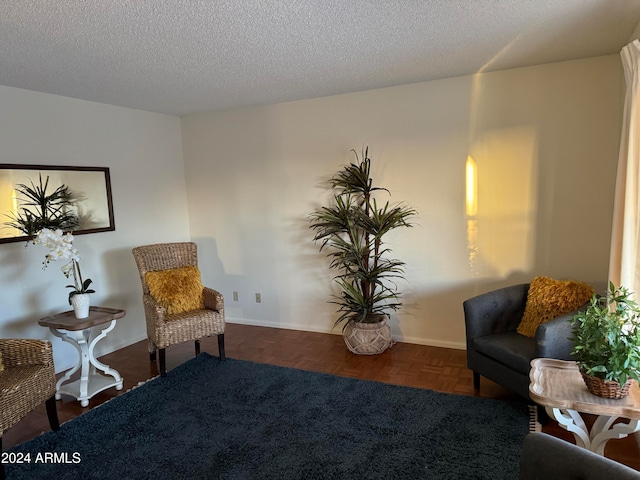 sitting room with dark parquet flooring and a textured ceiling