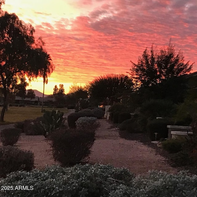 view of nature at dusk