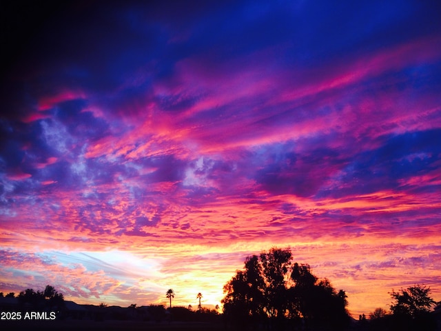 view of nature at dusk