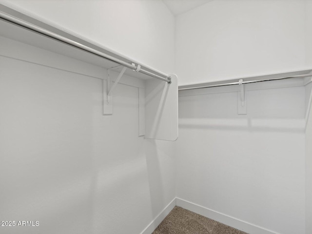 spacious closet with carpet flooring