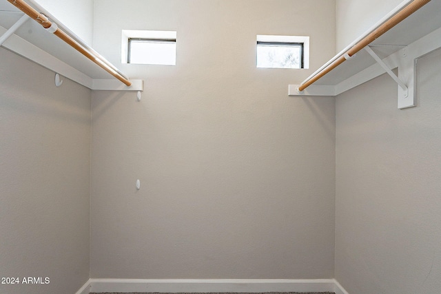 view of walk in closet