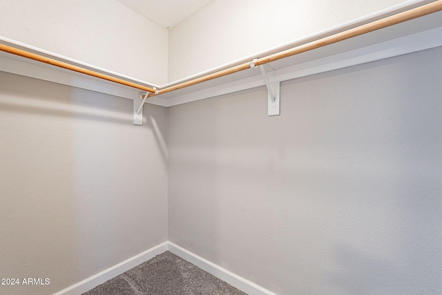 spacious closet with carpet