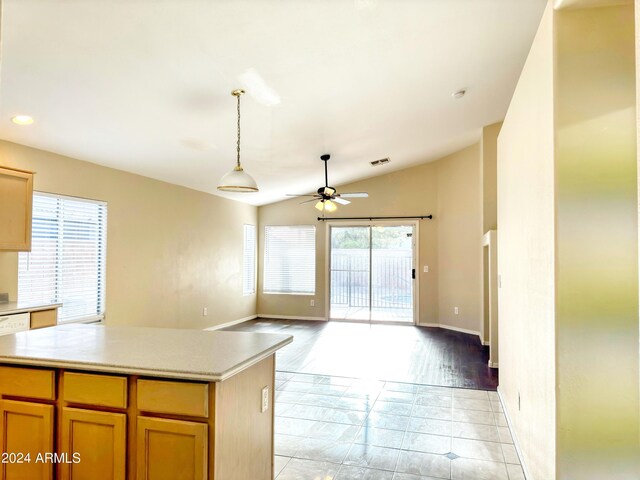 kitchen with light hardwood / wood-style flooring, vaulted ceiling, a wealth of natural light, and ceiling fan