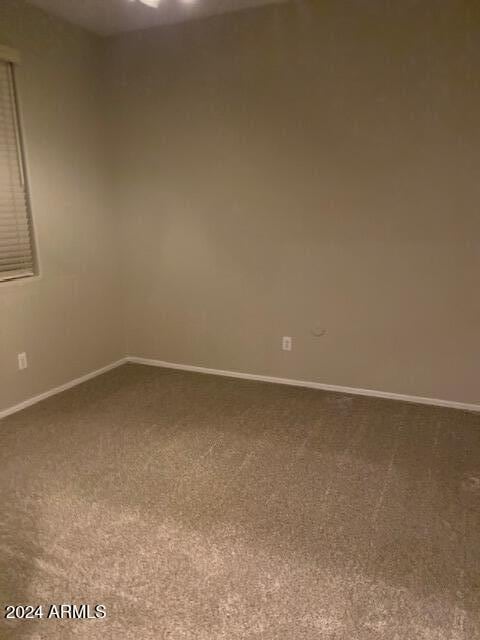 spare room with carpet flooring