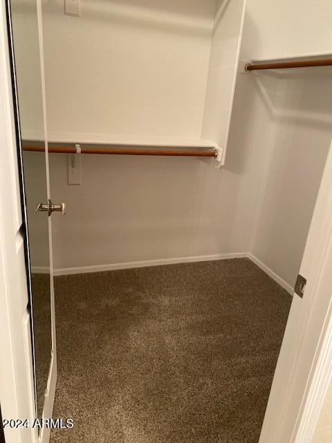 walk in closet with dark carpet