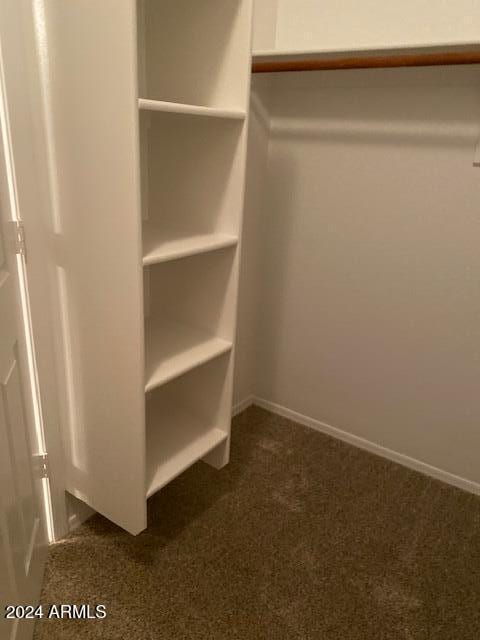 walk in closet featuring dark colored carpet