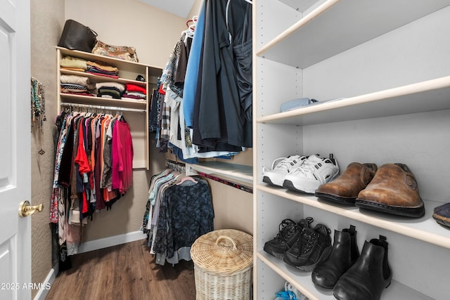 walk in closet featuring hardwood / wood-style flooring