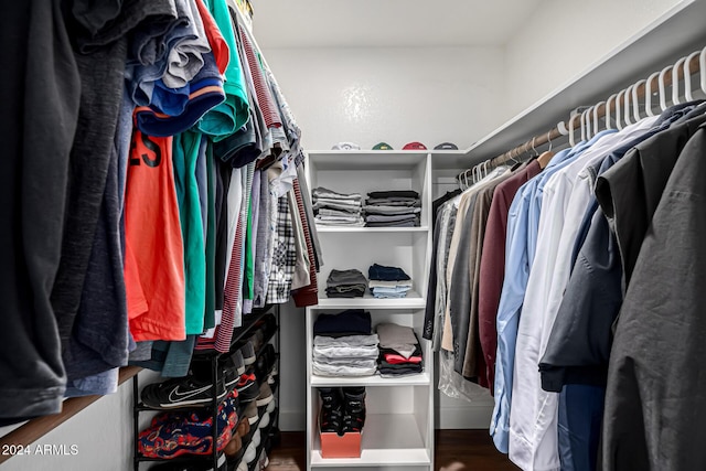 walk in closet with hardwood / wood-style floors