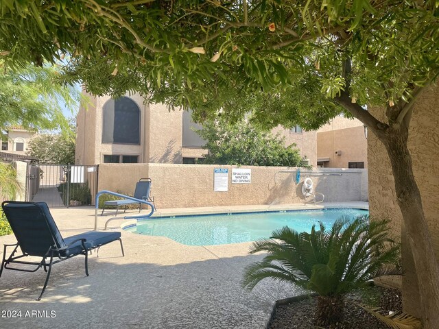 view of swimming pool featuring a patio area