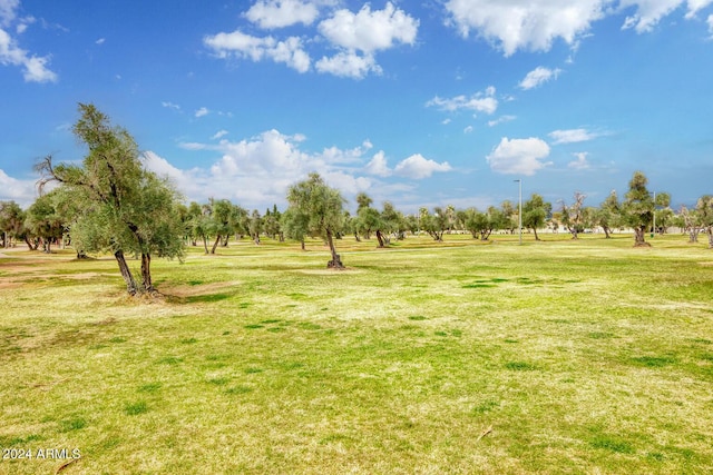 view of yard featuring a rural view