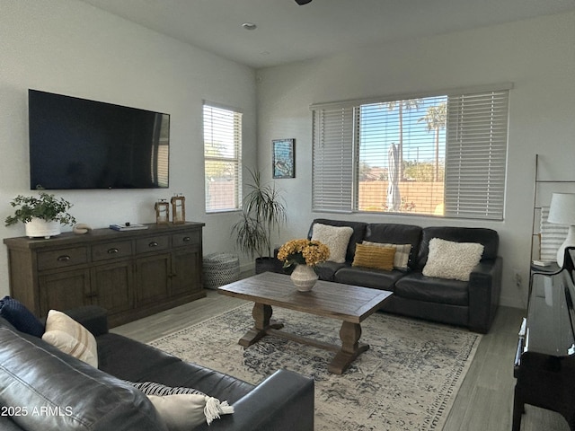 living room with light hardwood / wood-style floors