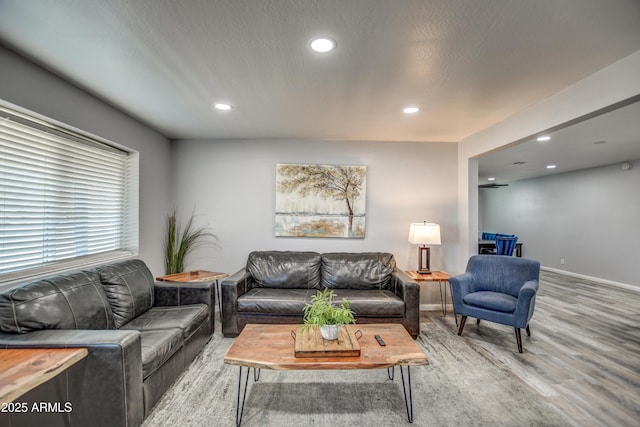 living room with hardwood / wood-style flooring