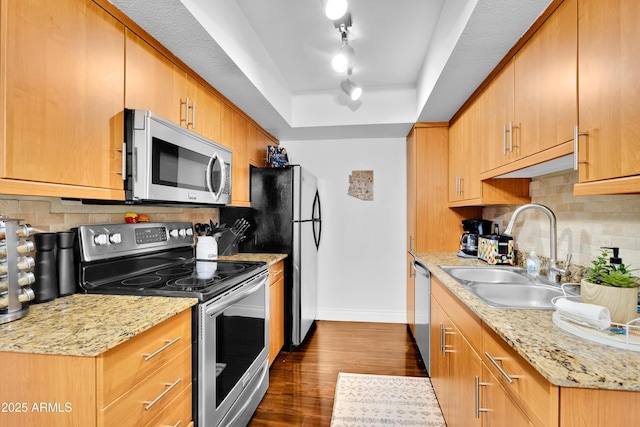 7350 N Via Paseo Del Sur Unit O202, Scottsdale, AZ 85258 - kitchen with a sink, stainless steel appliances, baseboards, a tray ceiling, and dark wood-style floors
