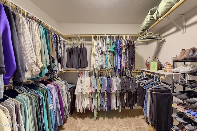 walk in closet with carpet floors