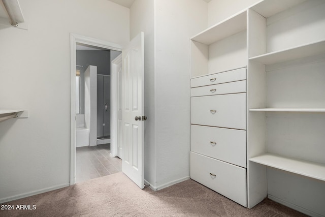 spacious closet with light colored carpet