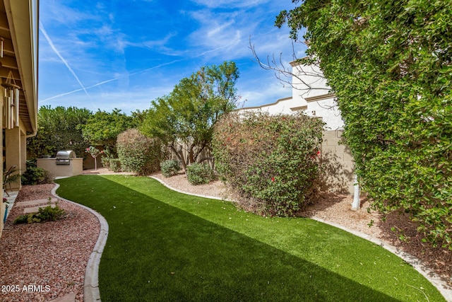 view of yard featuring a fenced backyard and area for grilling