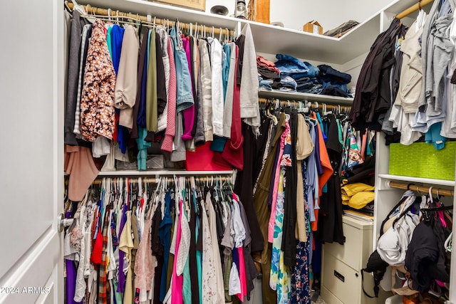 view of walk in closet