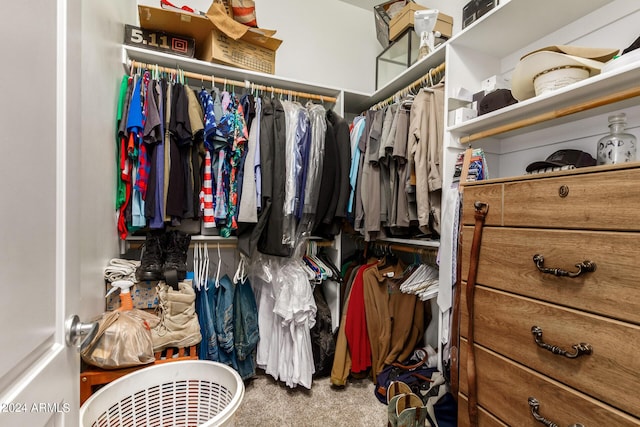 spacious closet with carpet flooring