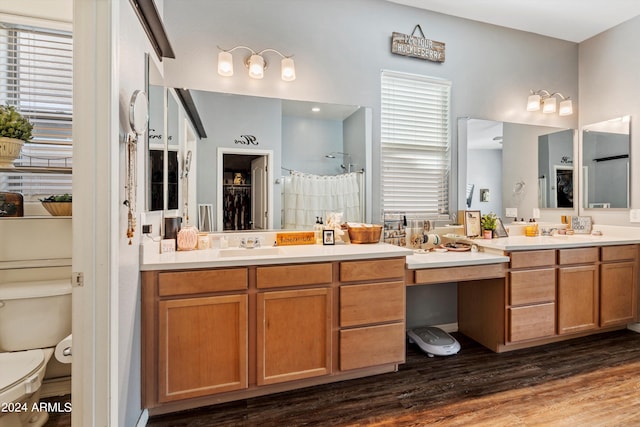 bathroom featuring wood-type flooring, vanity, and toilet