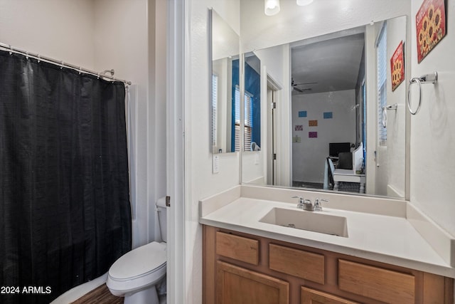 bathroom featuring vanity, toilet, and a shower with shower curtain