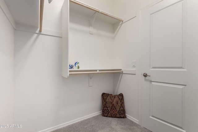 spacious closet with light colored carpet