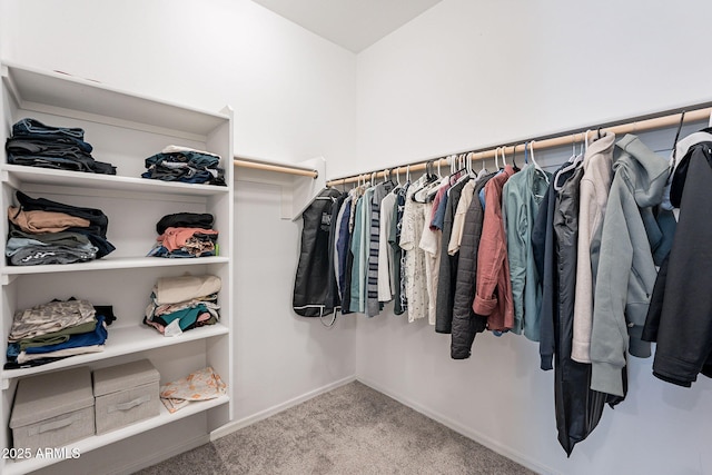 walk in closet featuring carpet floors