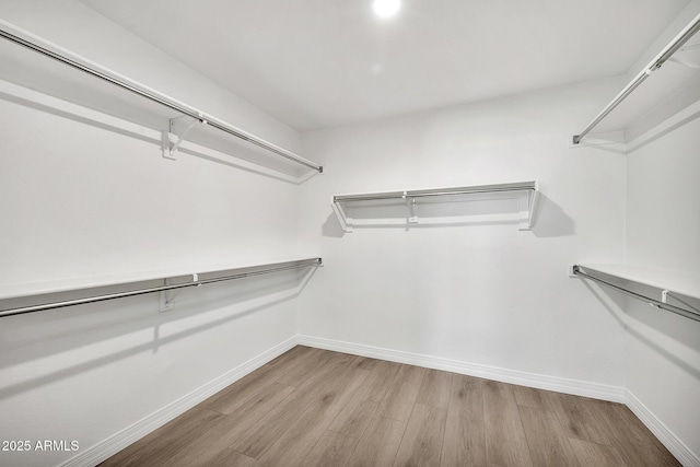 walk in closet featuring wood finished floors