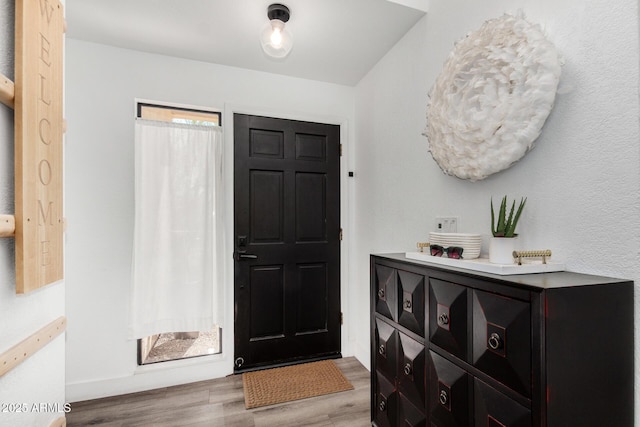 foyer featuring wood finished floors