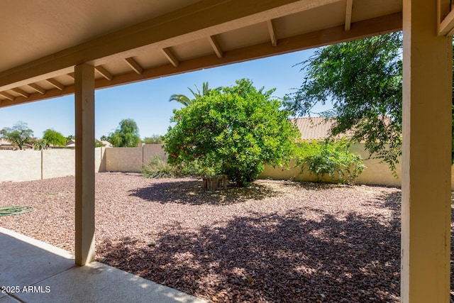 view of yard with a patio and a fenced backyard