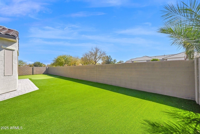 view of yard featuring a patio and a fenced backyard