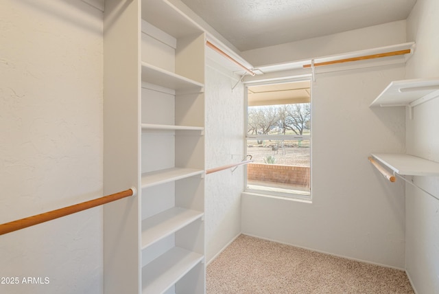 walk in closet featuring light colored carpet