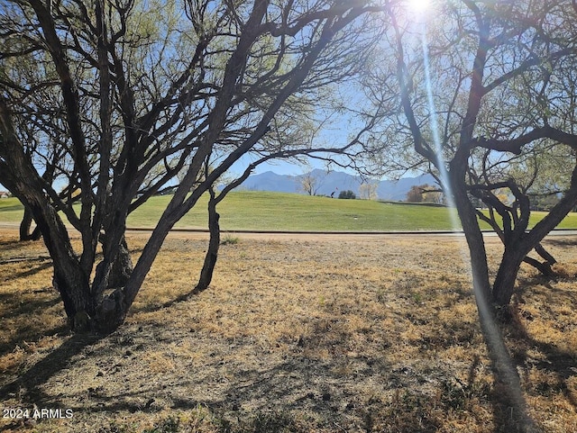 view of yard featuring a rural view