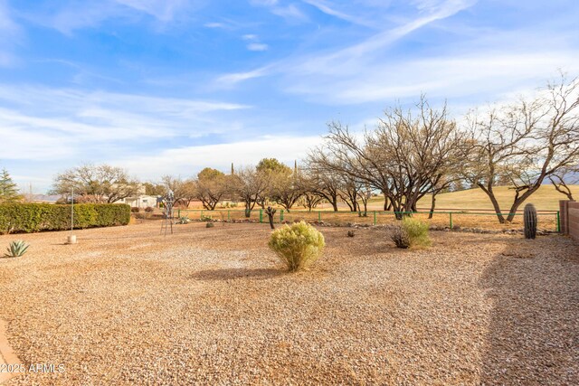 view of yard with a rural view