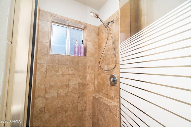 1531 S Padre Rd, Apache Junction, AZ 85119 - bathroom featuring a tile shower