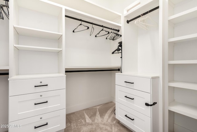 2316 E Canary Dr, Gilbert, AZ 85297 - spacious closet with light colored carpet
