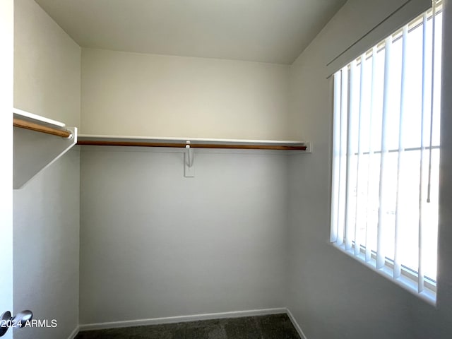 spacious closet with carpet