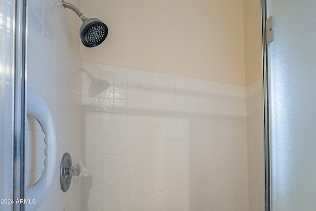 interior details featuring tiled shower