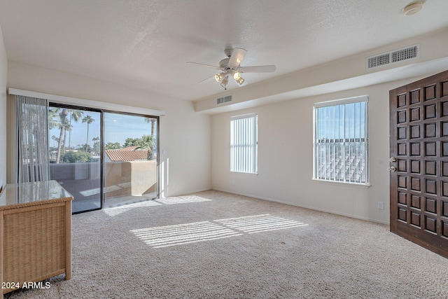 interior space with a textured ceiling, light colored carpet, and a healthy amount of sunlight