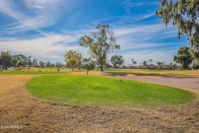 view of community with a yard