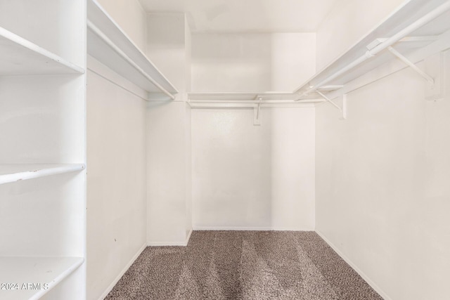 walk in closet with carpet floors