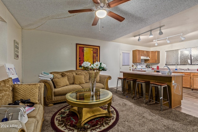 living room with ceiling fan, rail lighting, light wood-type flooring, and a textured ceiling