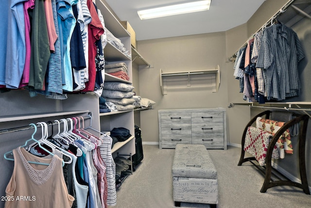 spacious closet with light carpet