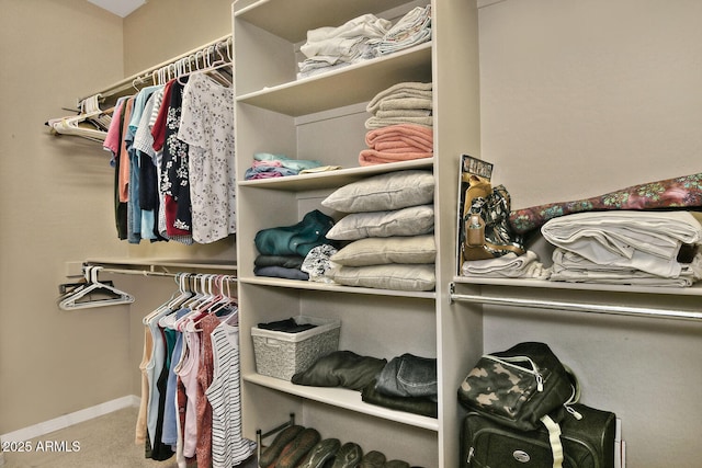 walk in closet featuring carpet flooring