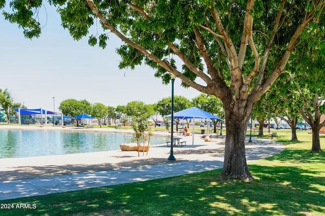 surrounding community with a lawn